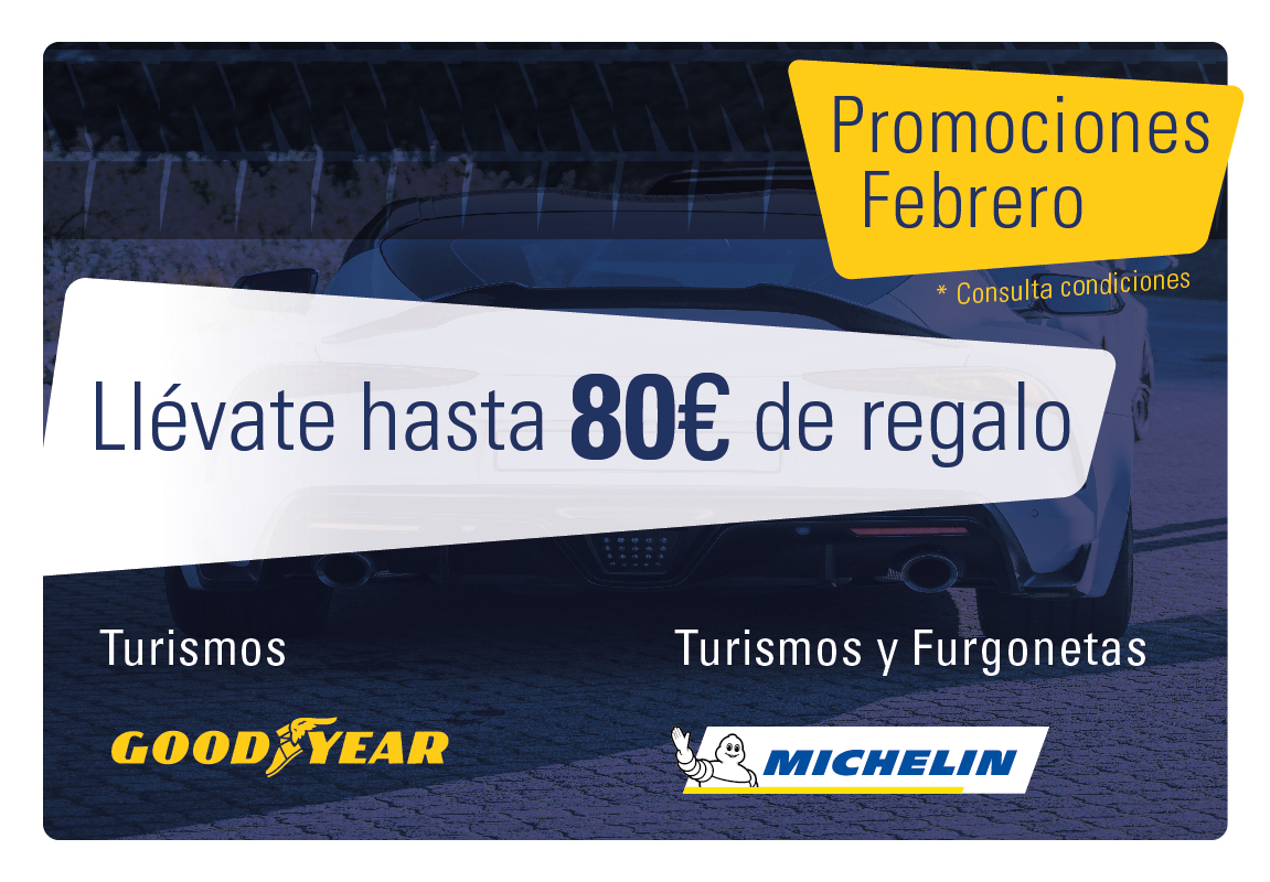 Neumáticos Iruña promoción Febrero Goodyear Michelin
